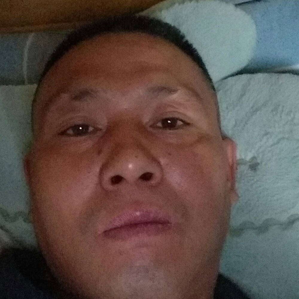 刺猬浅唱的照片