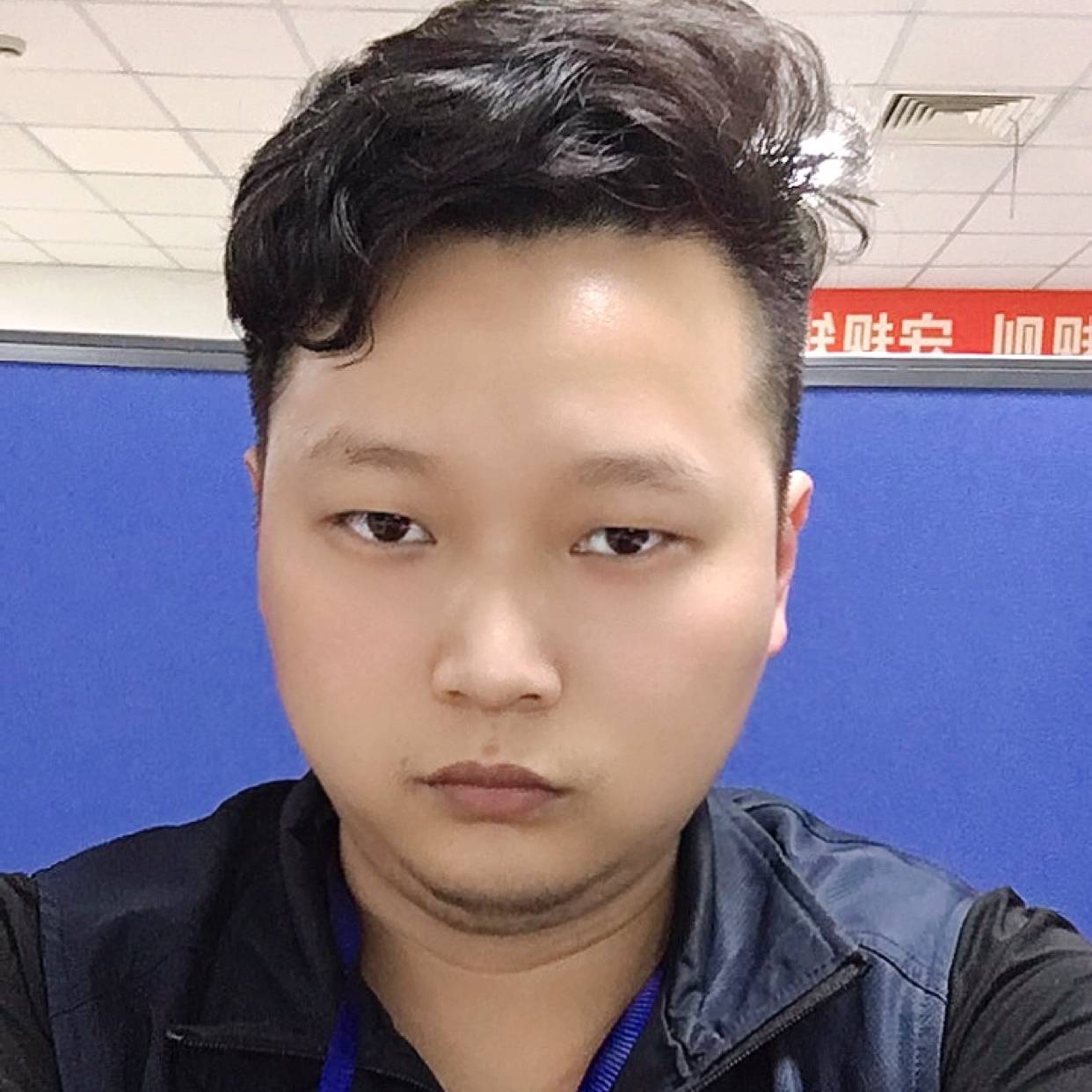枫叶漫步平淡的照片