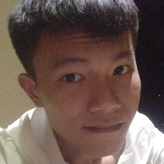 内向有羽毛的照片