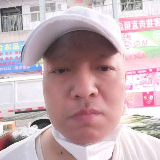 毛毛虫半条的照片
