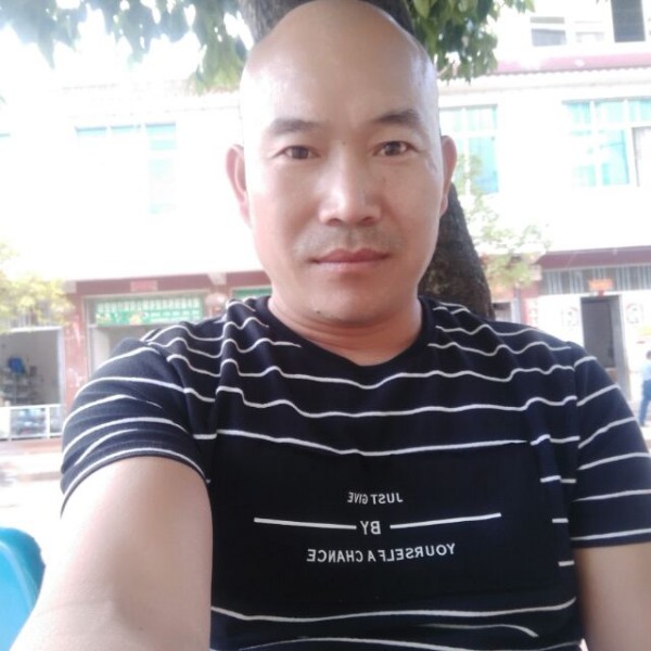 枫叶等于潇洒的照片