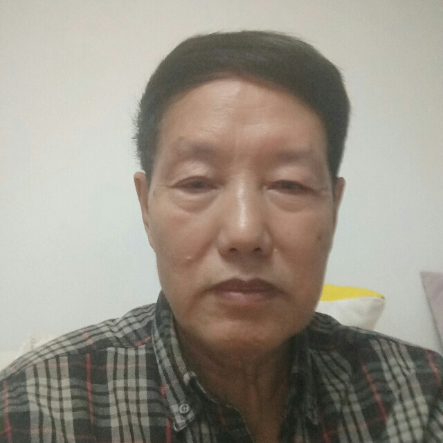 红牛聪明的照片