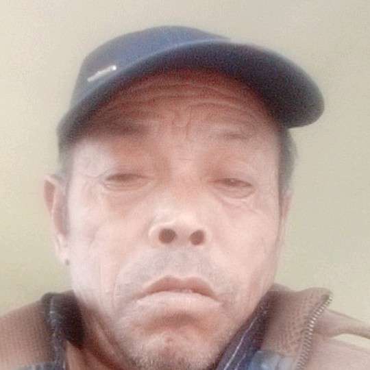 时光。活的照片