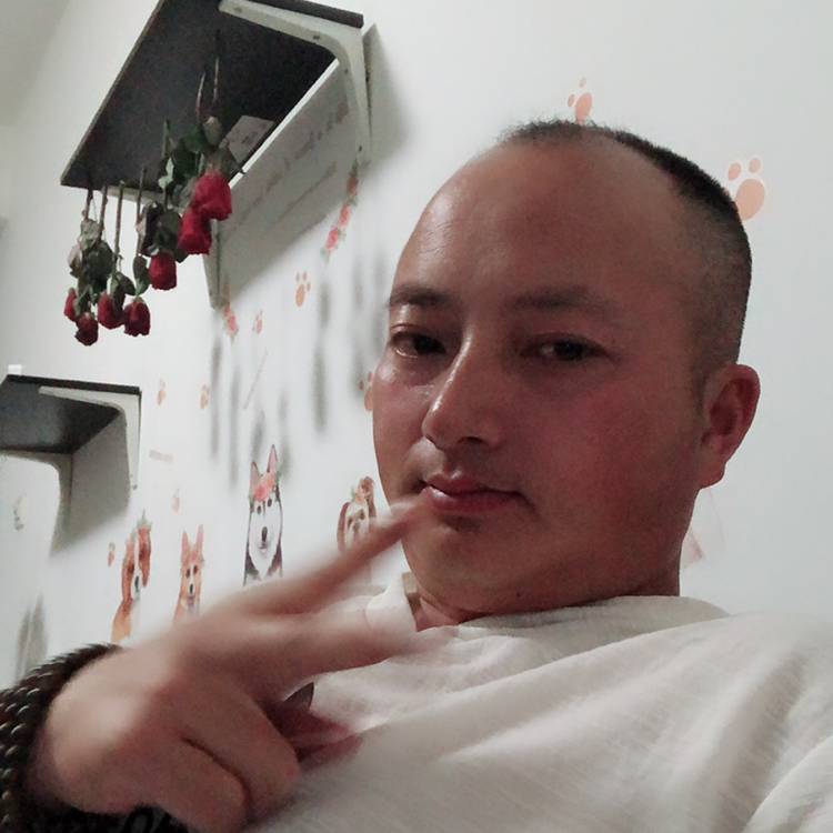 平常心竹叶清的照片