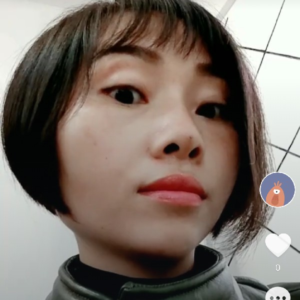 怡然蝶舞的照片