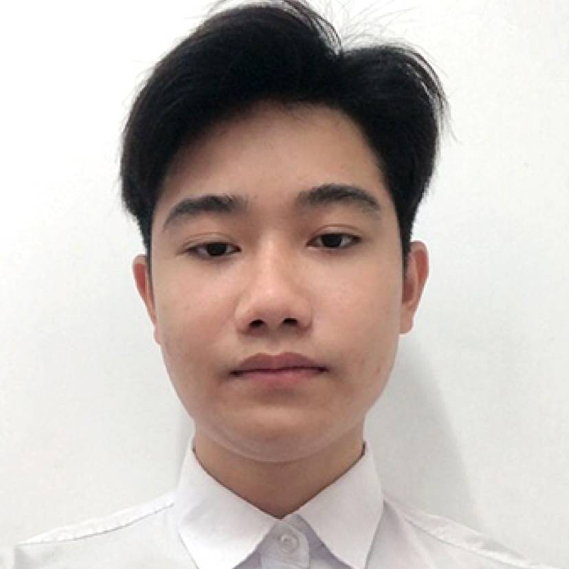 狗停止稳重的照片