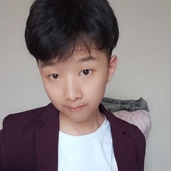 黄蜂踢神勇的照片