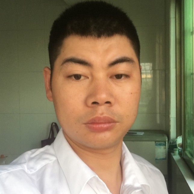 黑猫漫步执着的照片