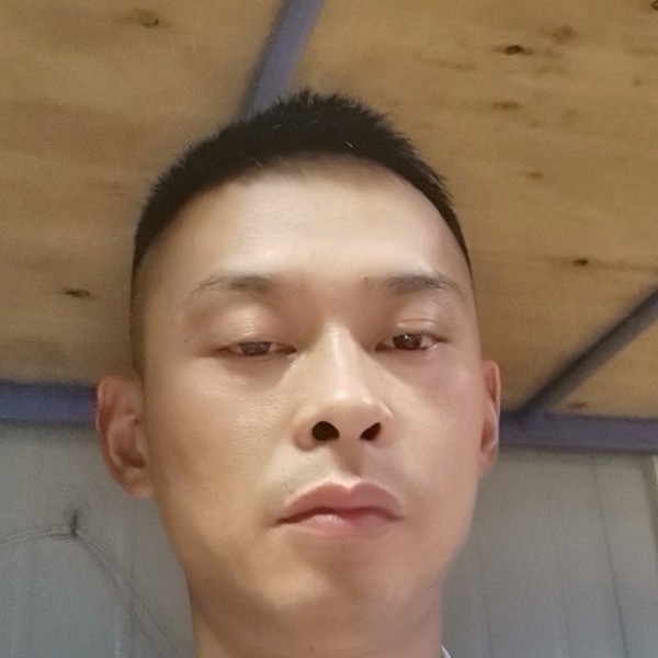 哈密瓜的漂亮的照片