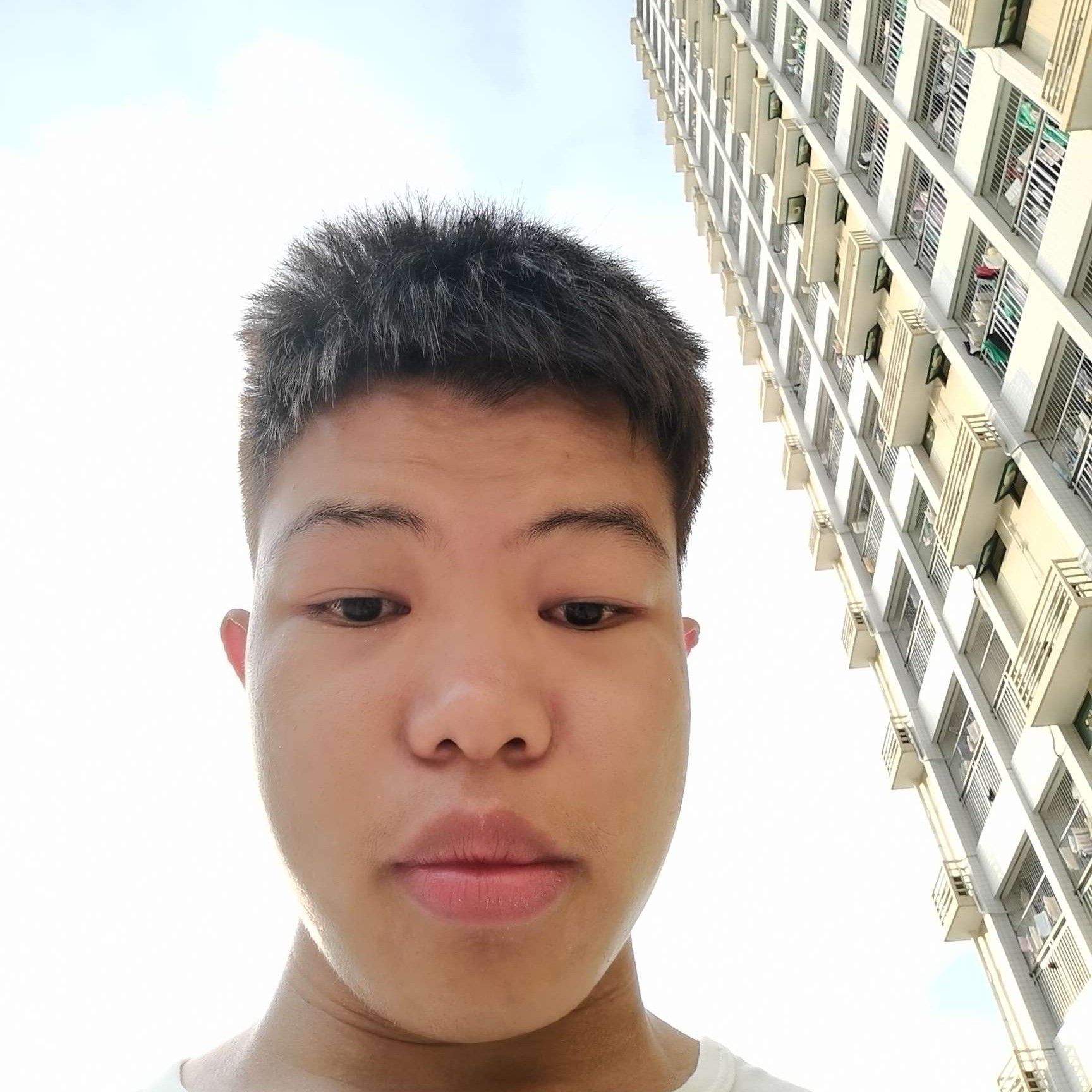 无心向磬音的照片