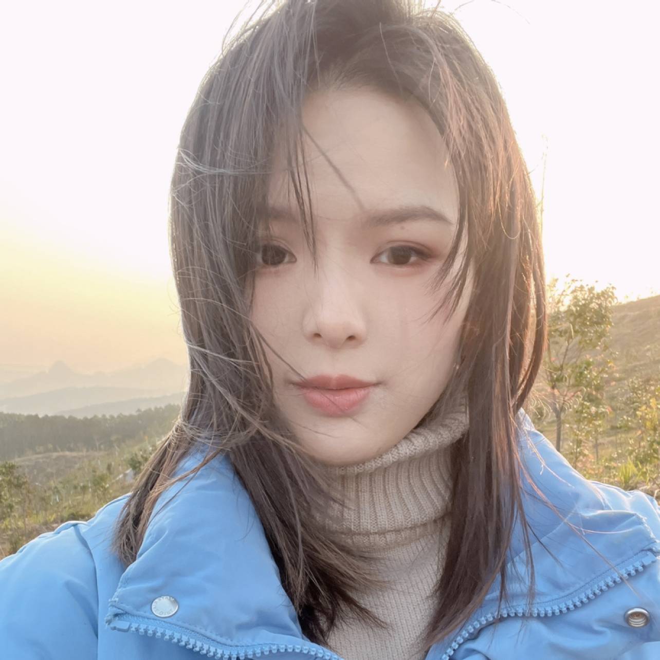 番茄的照片