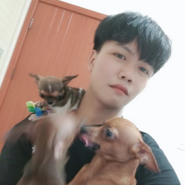 暮雪纷飞的照片