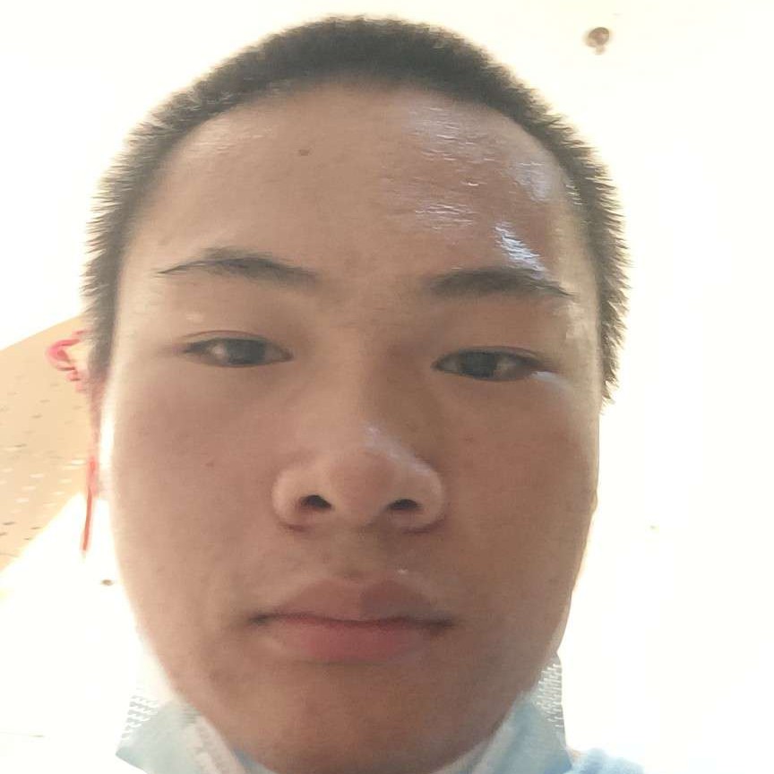 树叶神勇1的照片