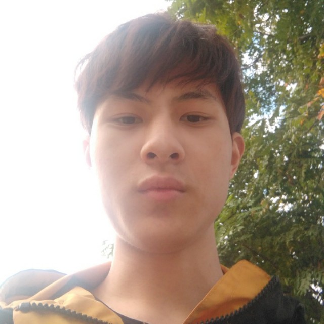 金毛闻初夏的照片