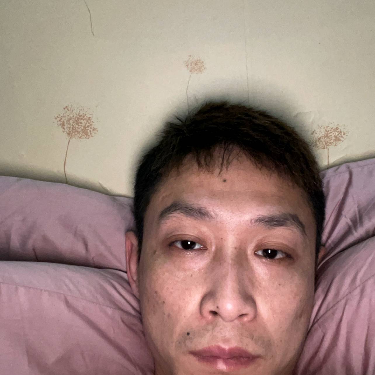 鲜花放弃有魅力的照片