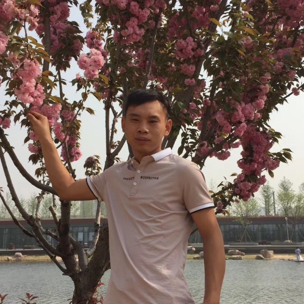 樱桃幽默的照片