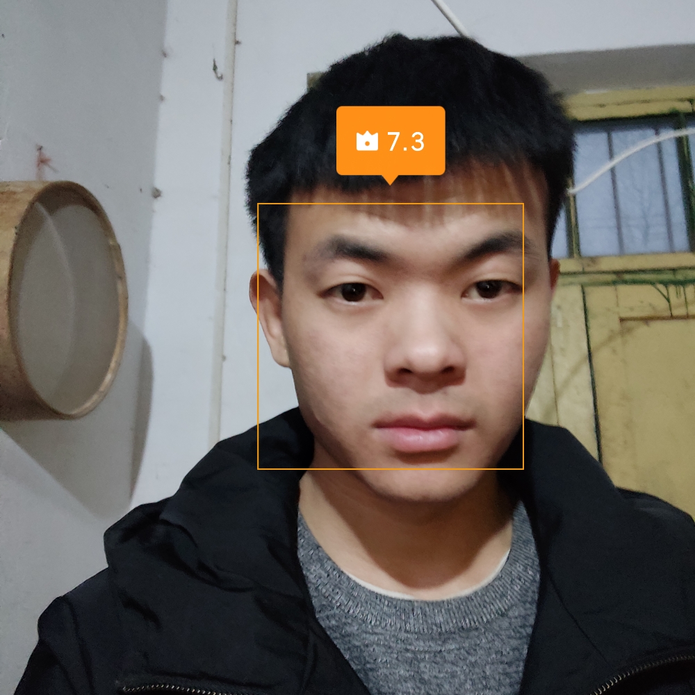 樱花夕逝的照片