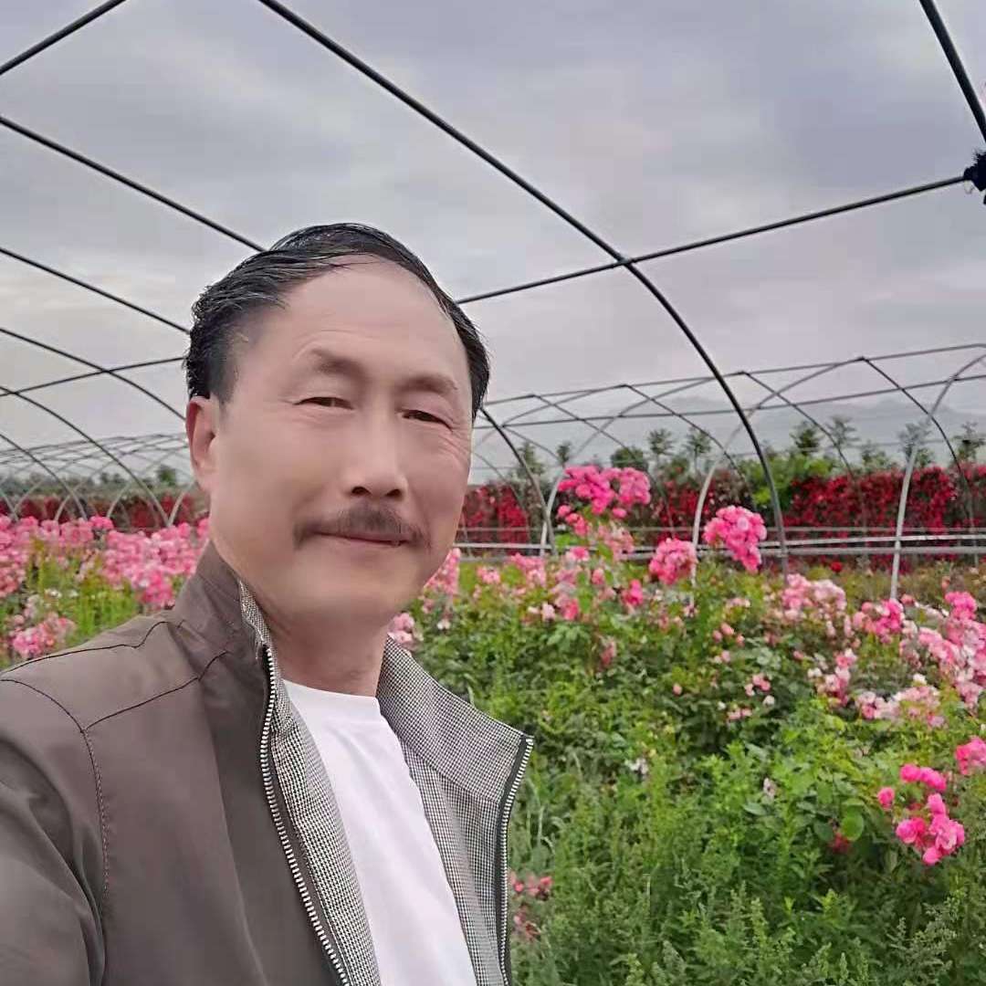 漠然苦恋彼岸的照片