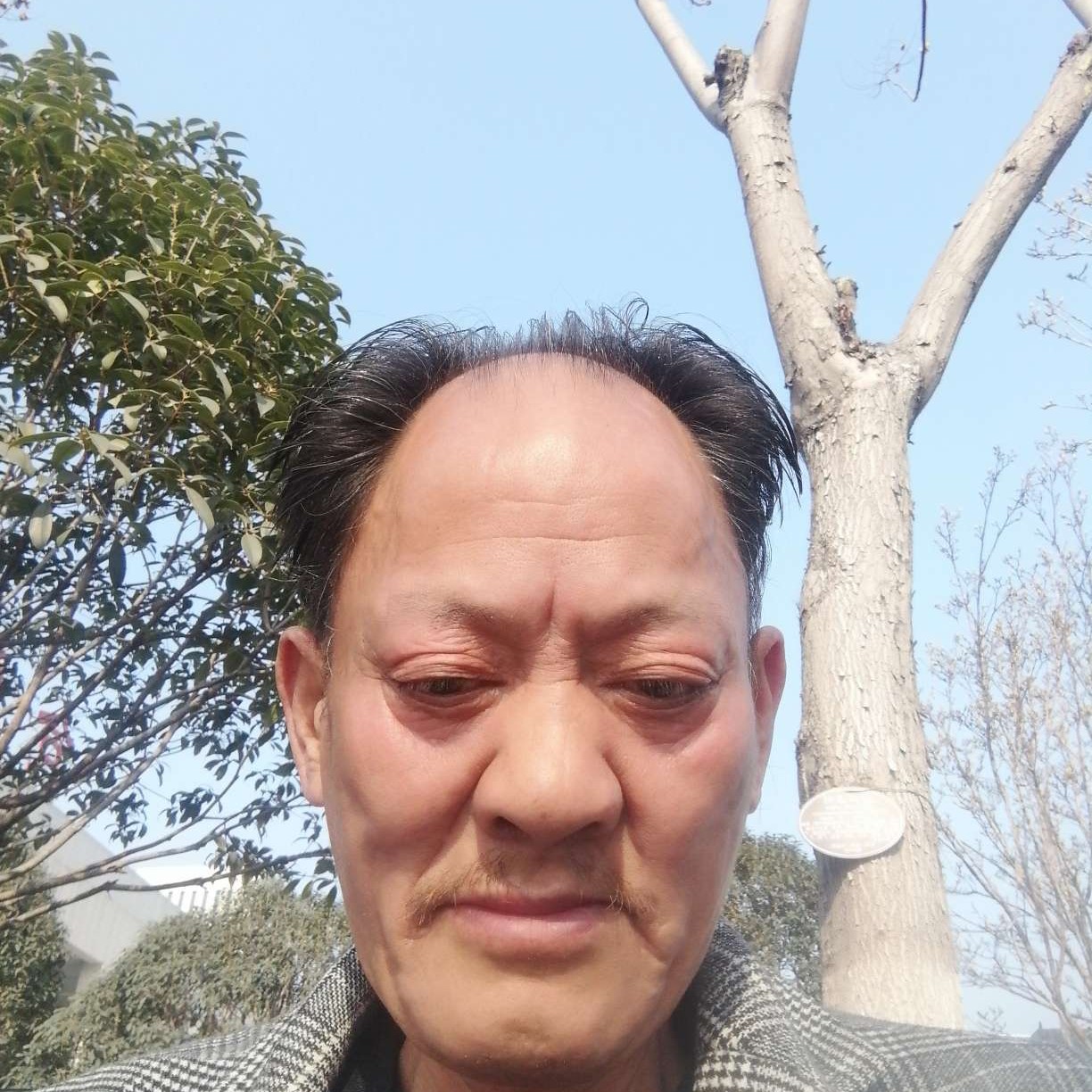 暧昧爱花卷的照片