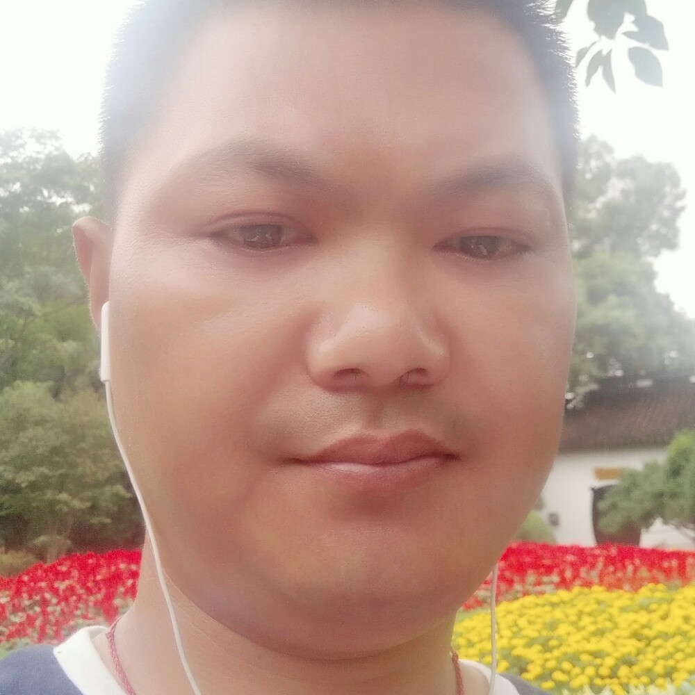 萬事如意的照片