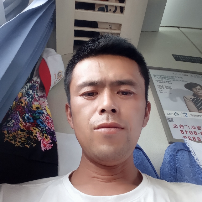 随你来去的照片