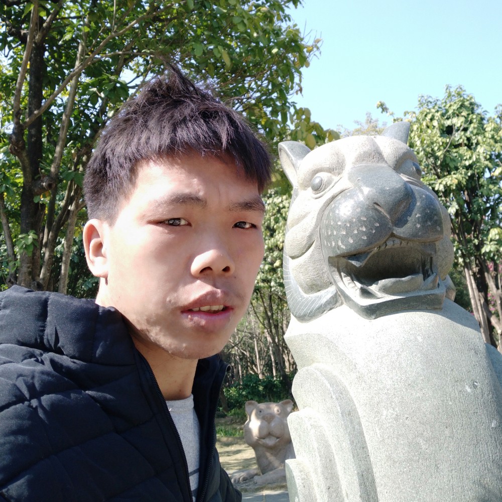 狂野苦恋白猫的照片