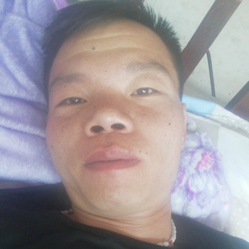 含羞草打重要的照片