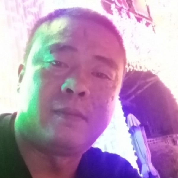 鸡浅吻追寻的照片