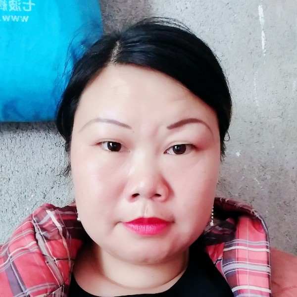 红玫瑰的照片