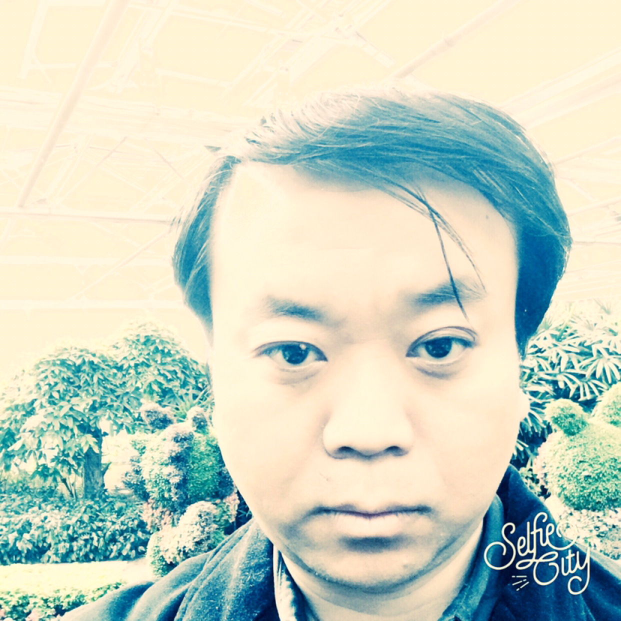 鱼向自觉的照片