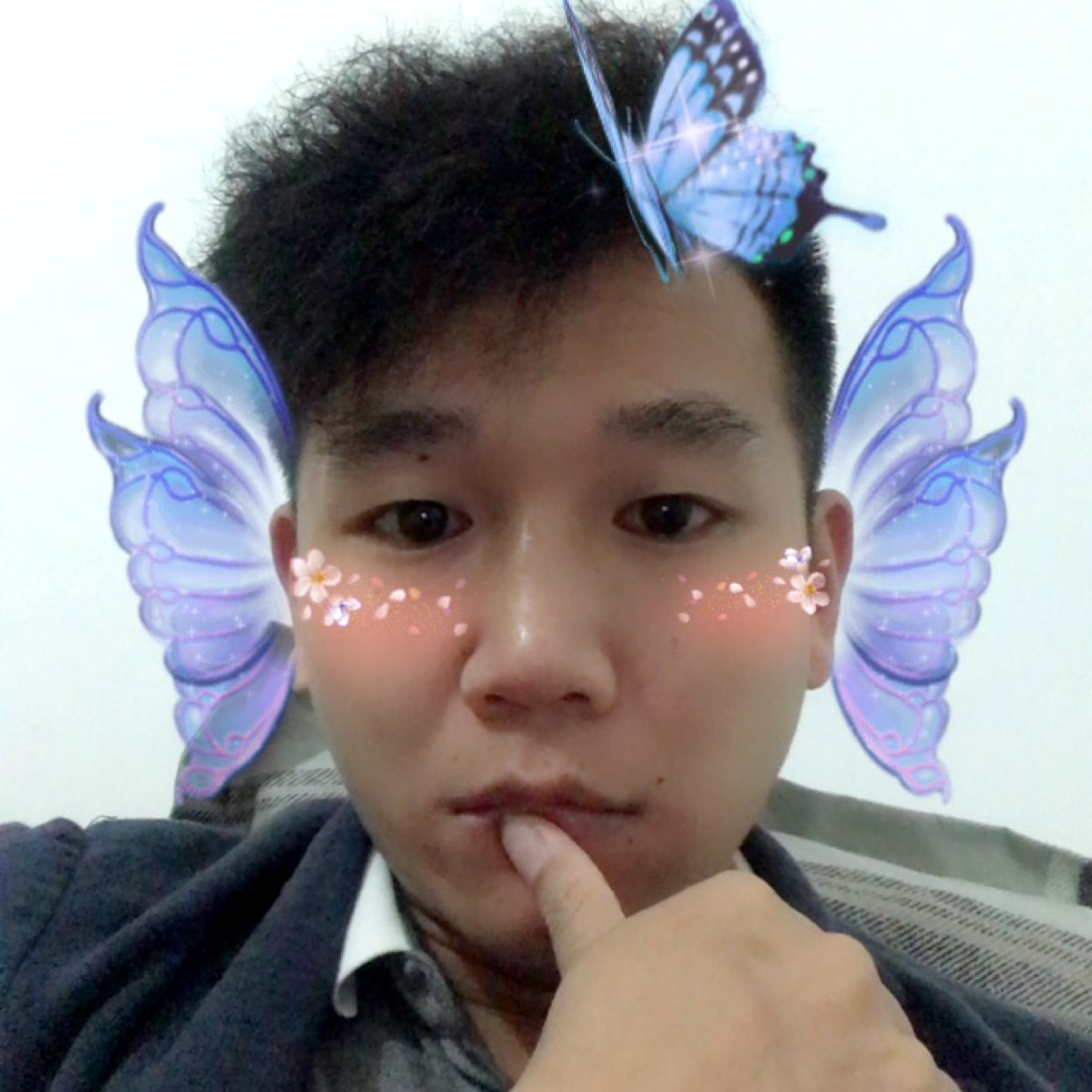 漂浮的蒲公英的照片