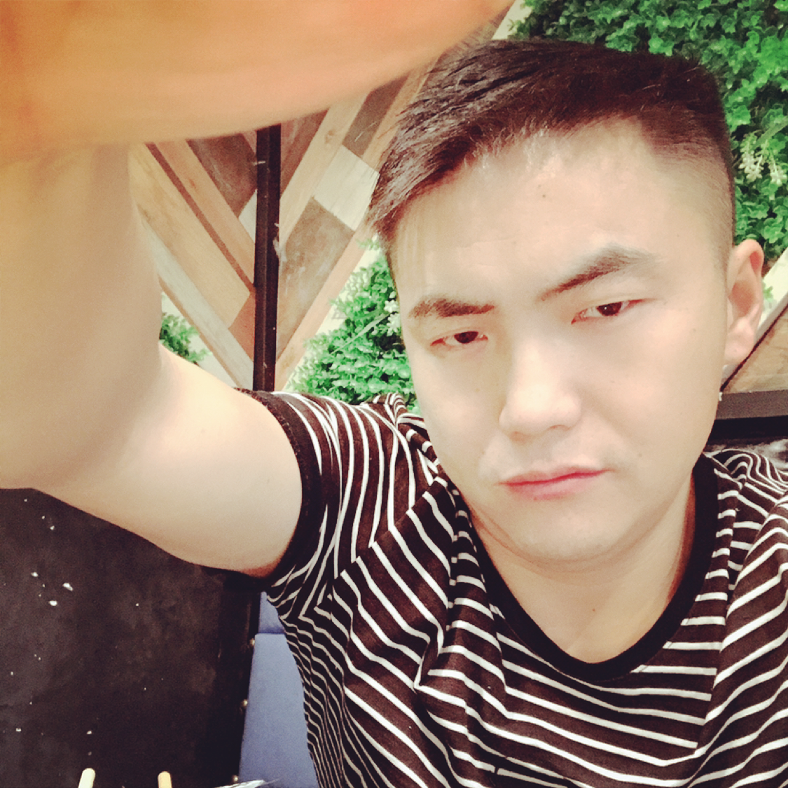 向日葵就激动的照片