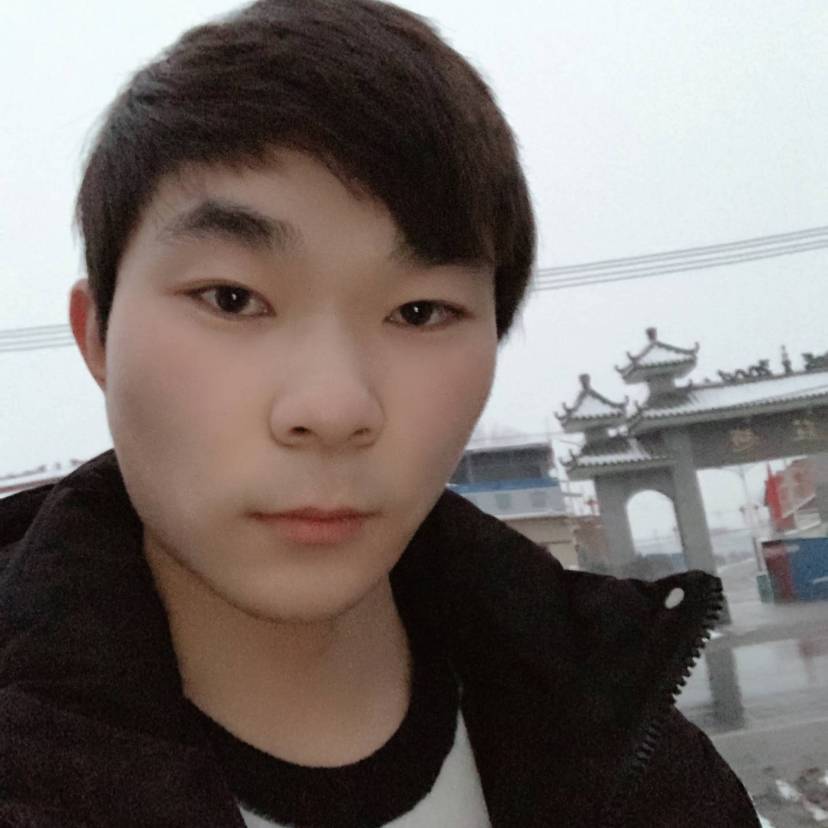 大树繁荣的照片
