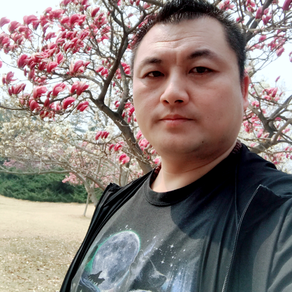 无处停歇的飞鸟的照片