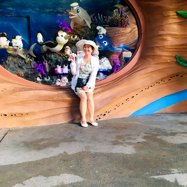 花开蝶再来的照片