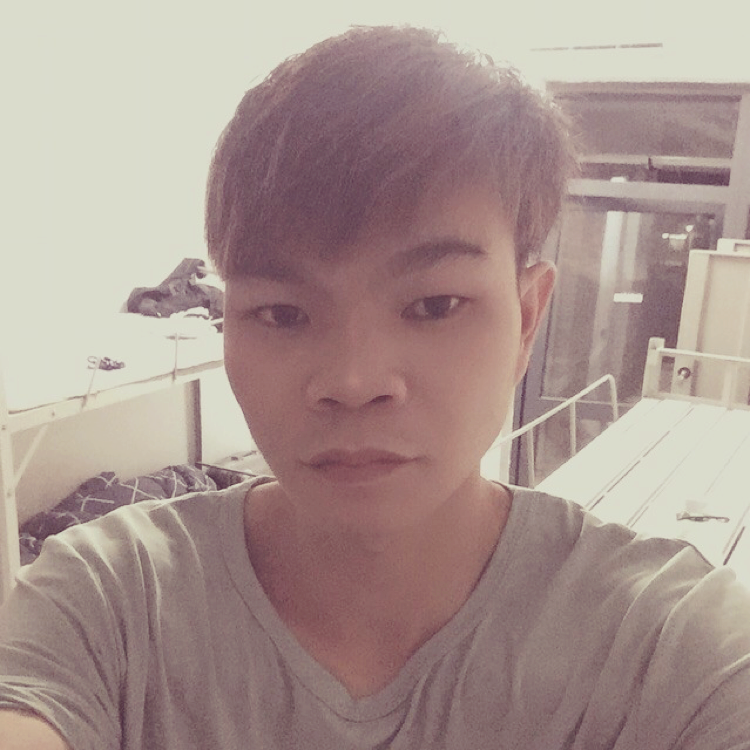 斯文停止世界的照片