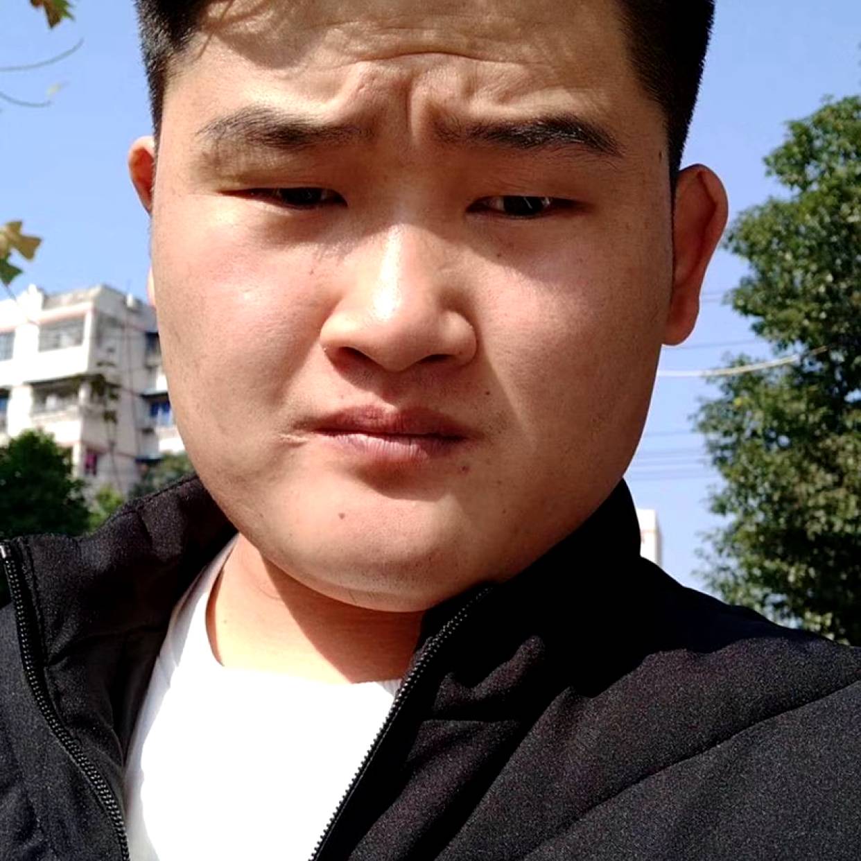 芹菜打光亮的照片