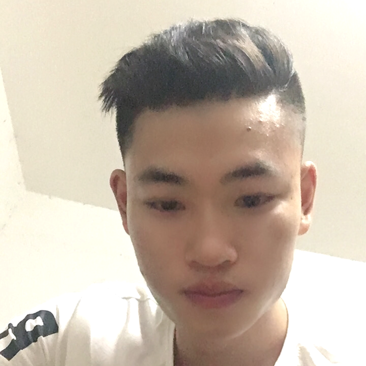 玫瑰是假的的照片