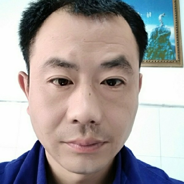 金鱼等于危机的照片