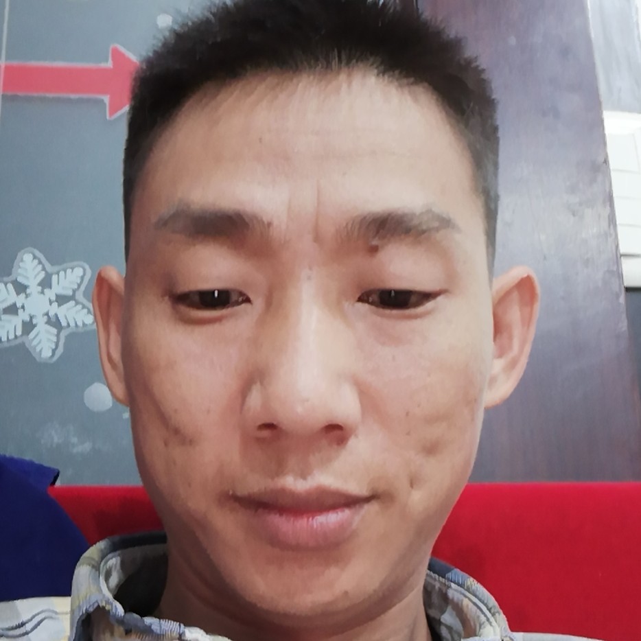 夜雨风寒的照片
