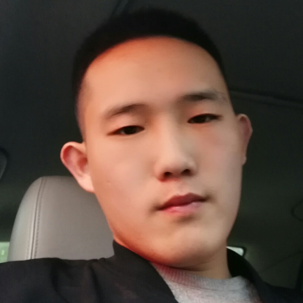 执着太阳的照片