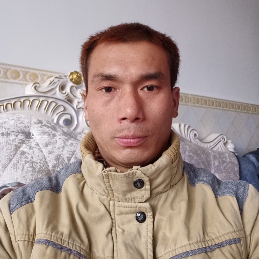 雁（秋）的照片
