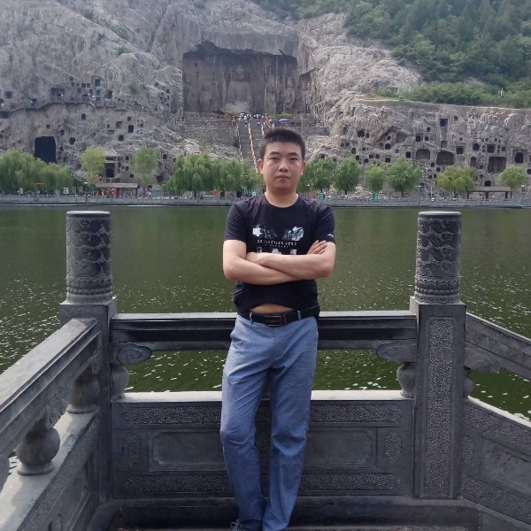 大雁奋斗的照片