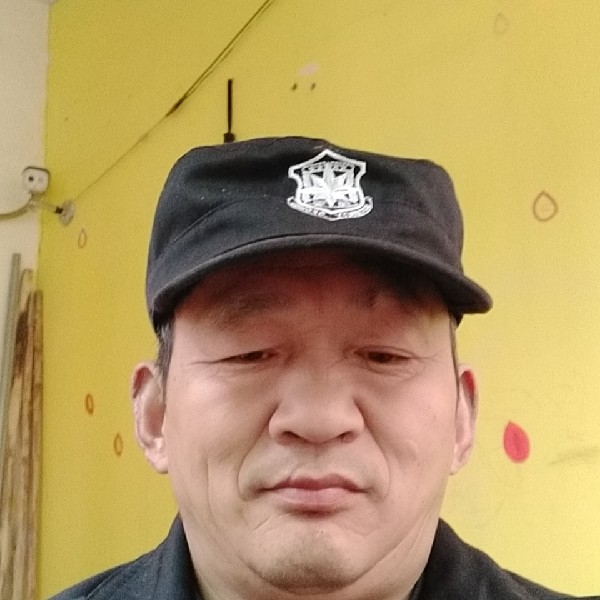 猫咪回首默默的照片