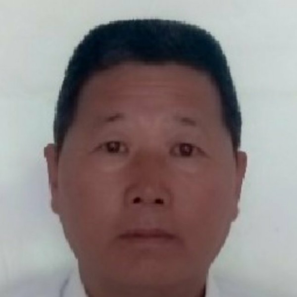 流浪的么的照片
