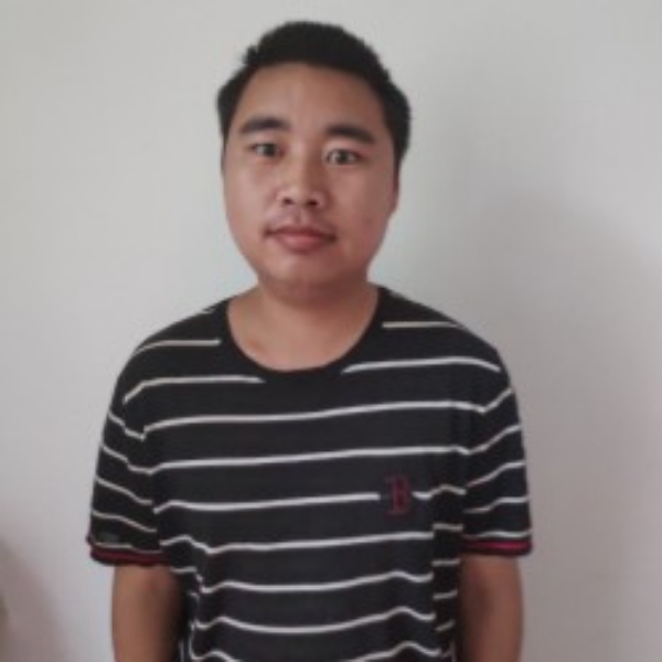 彩色说小天鹅的照片