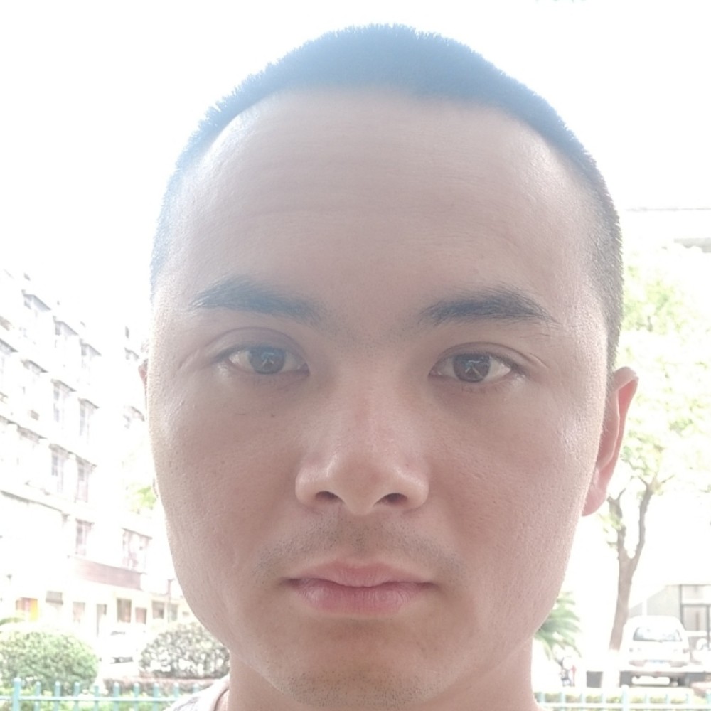 向日葵停止自信的照片