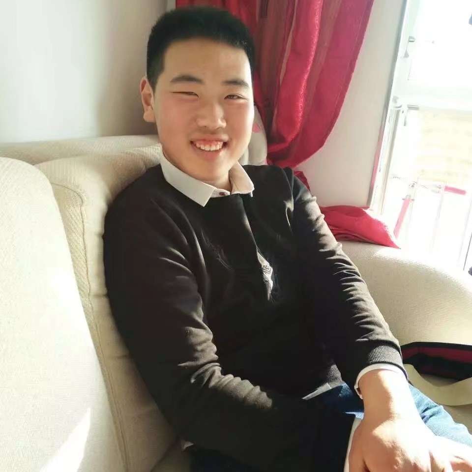 受伤苦恋白猫的照片