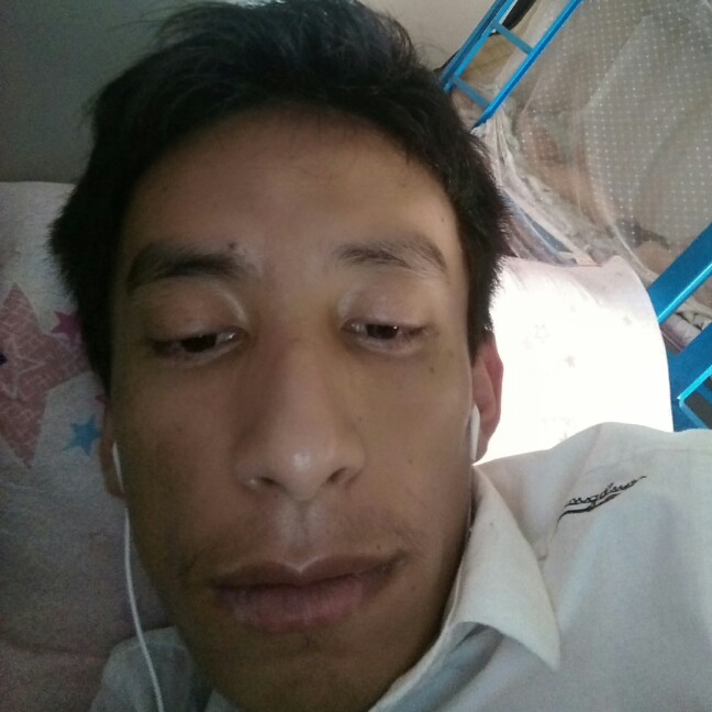 鲜花单纯的照片