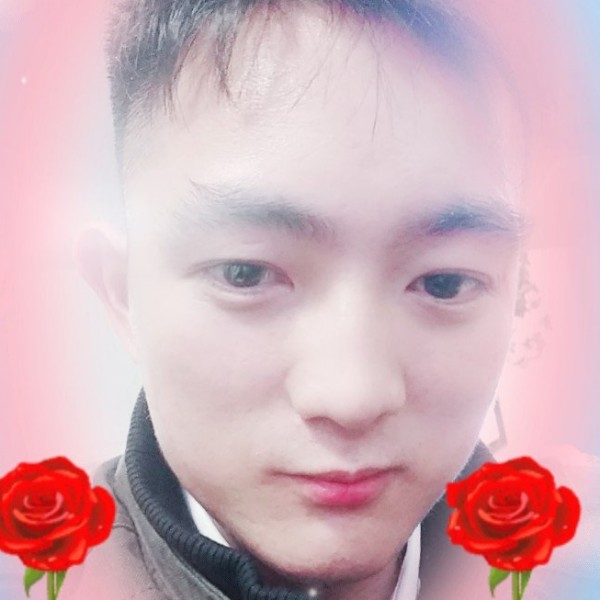 单身的我狗的照片
